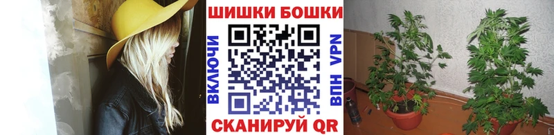 hydra ссылка  Суздаль  Каннабис индика 